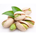 Noix de pistaches séchées de qualité supérieure pour la vente en gros